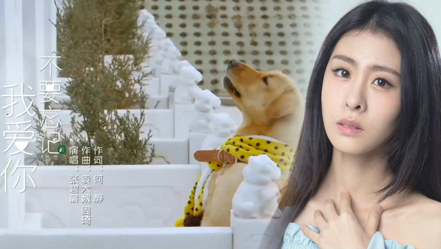 张碧晨演唱电视剧《神犬小七》主题曲,用歌声诉说狗对主人的依恋