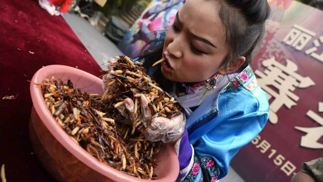 为什么云南人会喜欢吃虫子呢?
