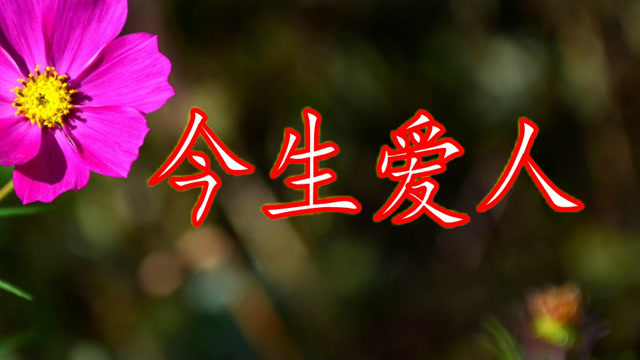 因为爱,所以珍惜,一曲《今生爱人》天长地久!