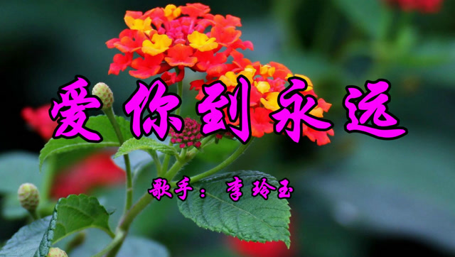 怀旧老歌,李玲玉一首《爱你到永远》好听至极