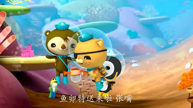 海底小纵队:后颌鱼的鱼卵丢了10颗,可是现在只找到了8颗!