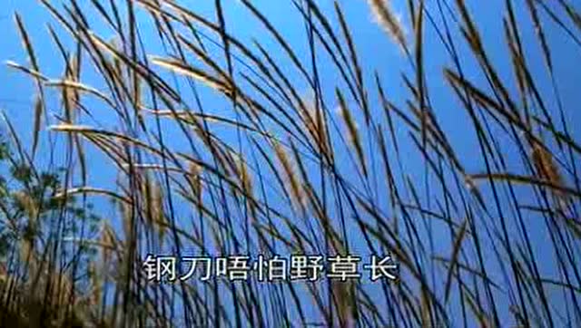 客家山歌《半荤斋》