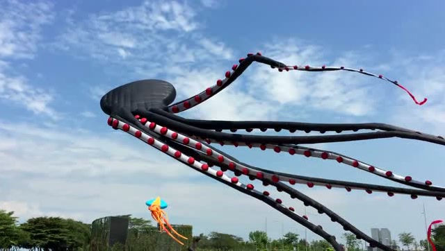 天空中的章鱼风筝,好像摄魂怪!