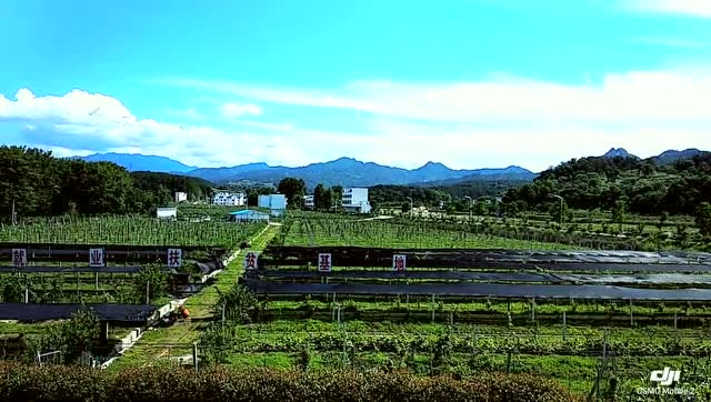 金寨华润希望小镇风景