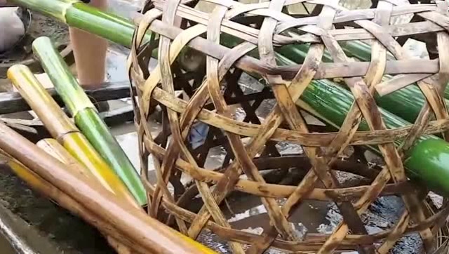 柬埔寨聪明的女孩自己制作地笼,放一晚上就收获了10多斤鱼.