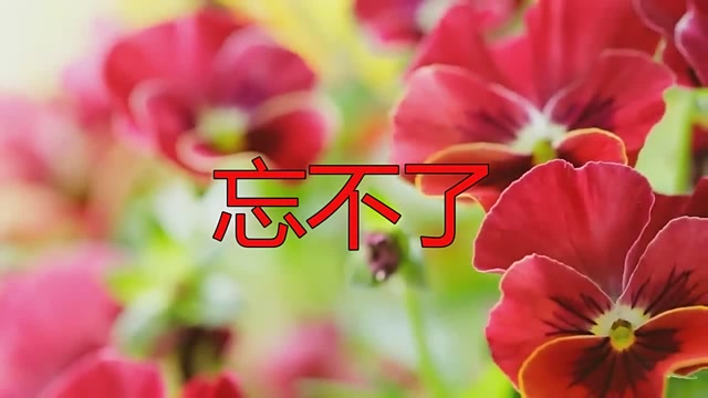 邓丽君演绎的一首最新伤感情歌《忘不了》,真的好听