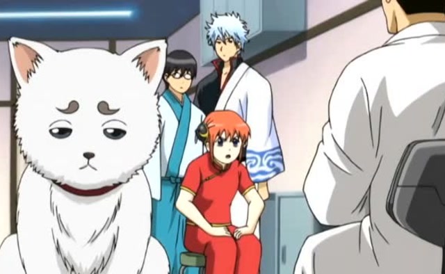 定春这是吃了一个人?小定春难受的双眼皮都出来了!