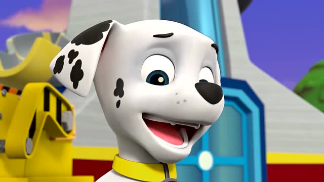 汪汪队立大功第三季:正在出发的毛毛,被谁压住了呢