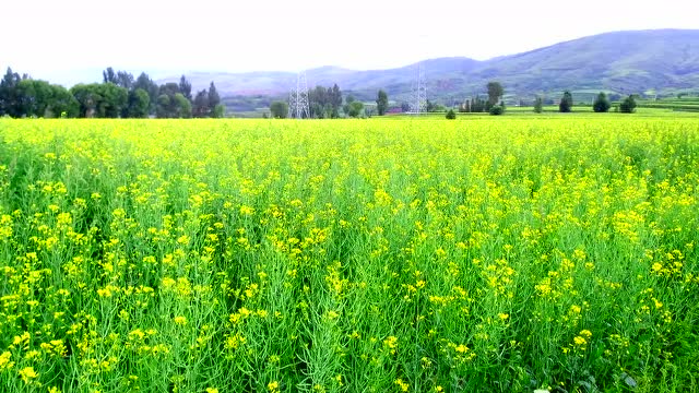 大美应县白马石乡界河村