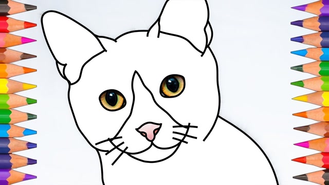 亲子简笔画:可爱的灰猫