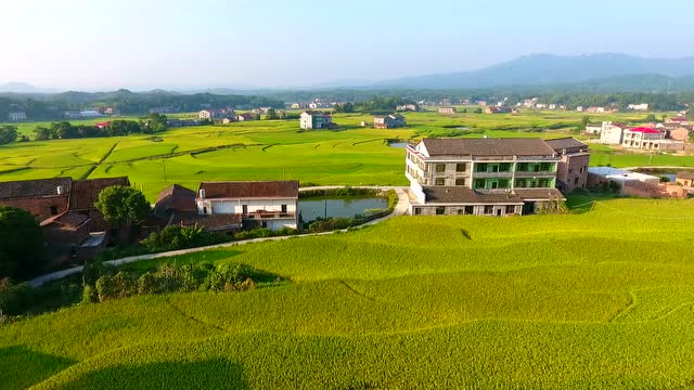秋到双峰县井字镇花山村