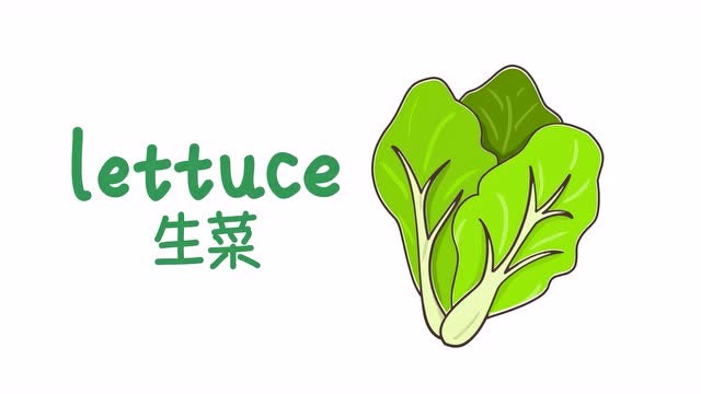 亲子英语简笔画:小朋友喜欢吃生菜吗?营养丰富好好吃哟