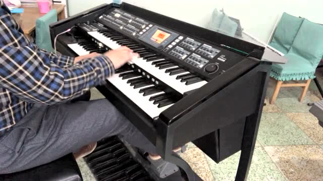 沙漠骆驼 吟飞rs800琴演奏示范视频