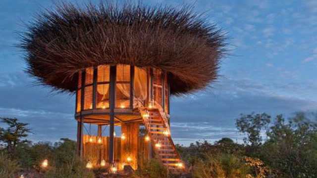 老外用树枝建设房子形状如同鸟巢重达40吨睡一晚700元