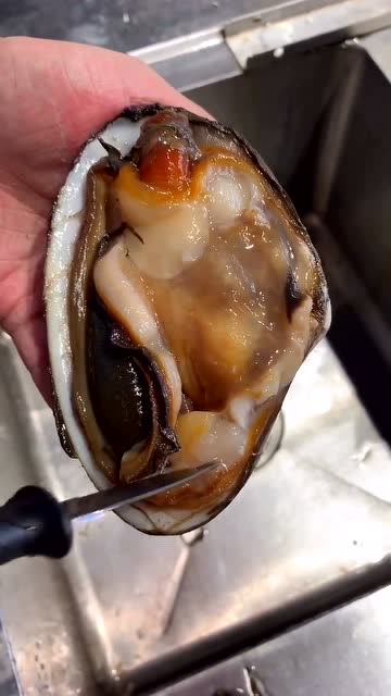 北极贝与其他贝类不一样,它有两个闭壳肌,隔断了就能给打开了