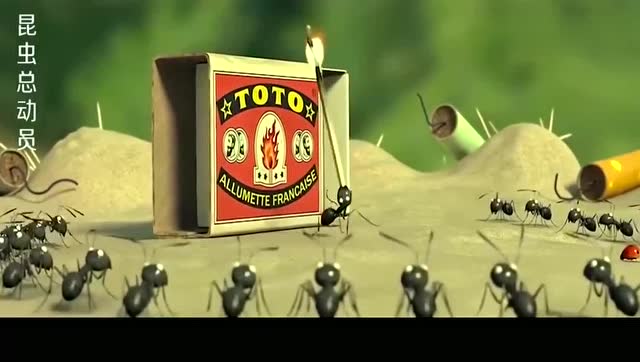 昆虫总动员:红蚂蚁入侵兵临城下,黑蚂蚁保家卫国,殊死抵抗!