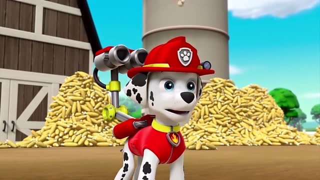 汪汪队立大功全集:玉米快要变成爆米花了,毛毛快点启动水枪