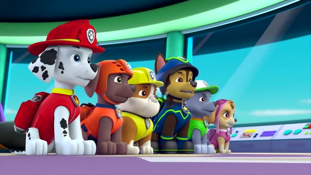 汪汪队立大功:冒险湾出现很多垃圾,莱德命令阿奇查清是谁在搞鬼