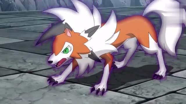 精灵宝可梦:鬃岩狼人中了黑色目光,身体居然动不了了!