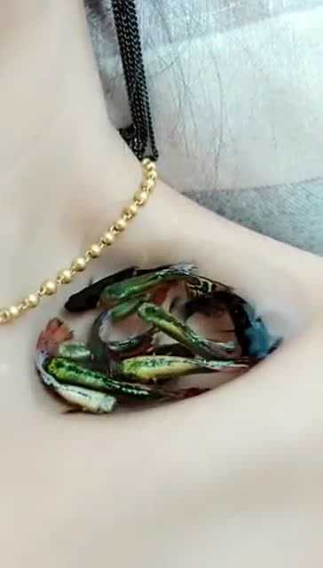 美女锁骨里养鱼,还能养这么多条,这是有多瘦啊!