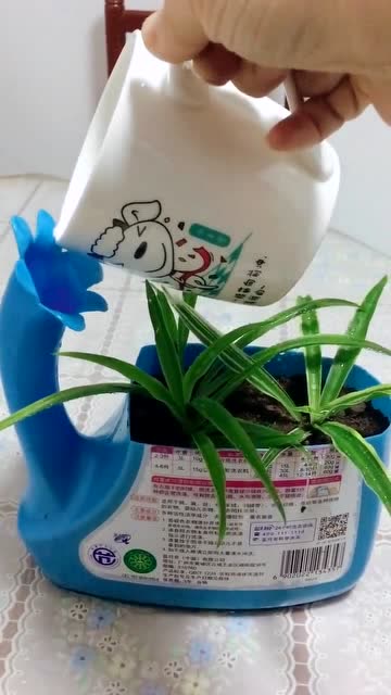 洗衣液瓶子做的花瓶,这样浇水才是正确方式