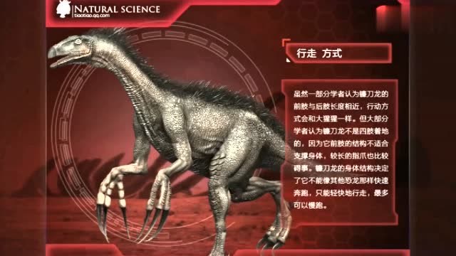 镰刀龙的身体结构决定了它不能像其他恐龙那样快速奔跑