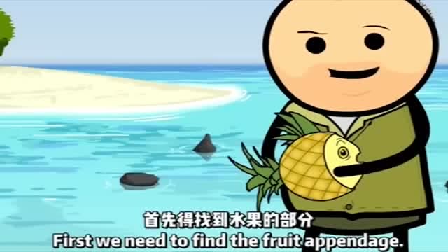 氰化欢乐秀:在海上没有淡水喝怎么办?贝爷教你抓"菠萝鱼"!
