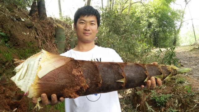 世界上最大的竹笋图片