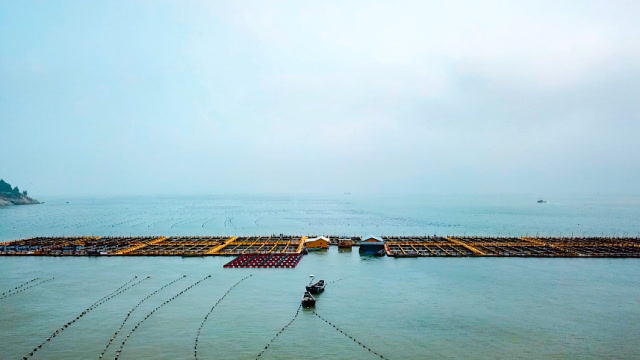 福鼎·沙埕新型渔排