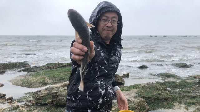 二哥迎着风雨赶海,礁石水坑抓2条大海鱼,和隐藏的大八爪鱼海螺