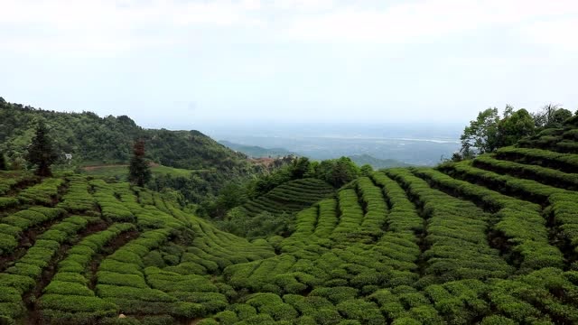刚出的蕨溪天宫山出mv,非常好听!