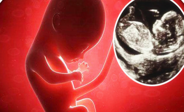 怀孕期间"亲热"时,母胎中宝宝会有什么"感觉"?看完不许笑!