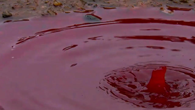 印度连下2个月红雨,满城赤色引众多猜疑,科学家却只字未说