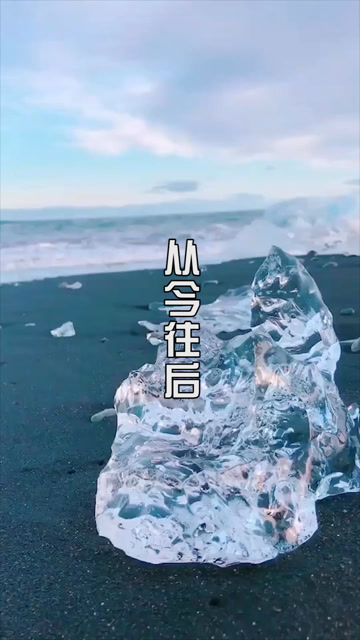 从今往后走马观花不谈感情