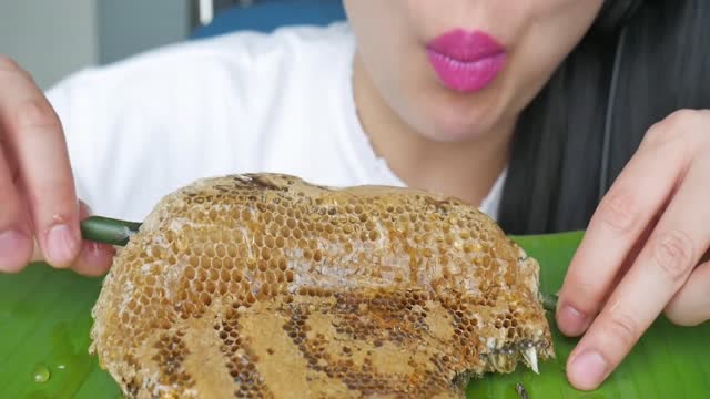 吃播微笑姐,试吃新鲜蜂巢,大口大口吃的好过瘾