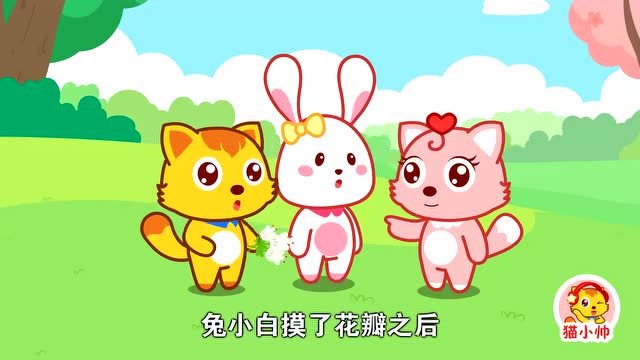 《猫小帅故事》请问兔小白摸了花瓣,要不要洗手呢?