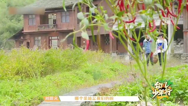 台风少年行房子的照片图片