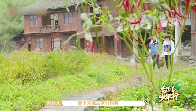 刘耀文 台风少年行53