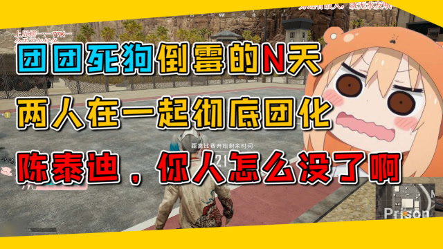 一条小团团:团团死狗倒霉的n天,两人彻底团化,陈泰迪,你人呢