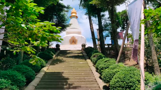 清净禅修活动实录-庐山诺那塔院-2019年8月