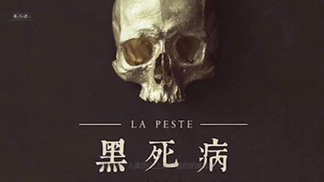 纪录片《欧洲中世纪黑死病——鼠疫大瘟疫》
