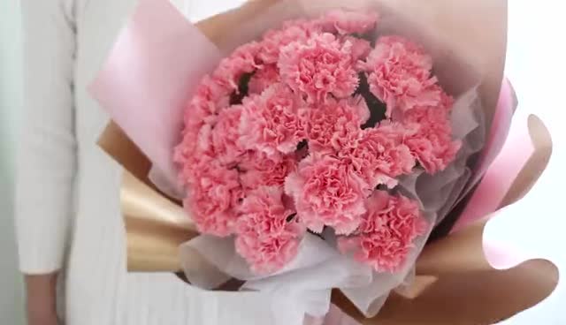粉色康乃馨胸花图片图片