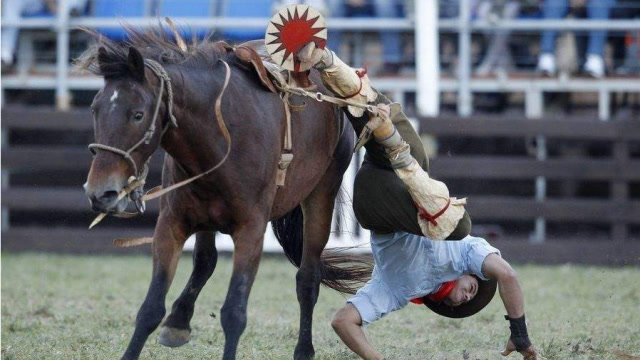 烈马难训你这也太秀了,最后被马给驯服了,看着你忧伤的背影忍不住笑出