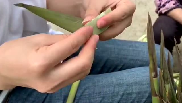 折笋壳伞,90后的小时候都玩过,你还记得吗?