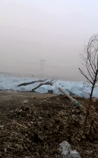 无人的凌晨强风来袭,八级大风瞬间毁灭收成,农民伯伯太难了