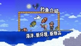 天铭 泰拉瑞亚 1.4 最后的旅途 18 海洋新环境新物品 渔夫 钓鱼