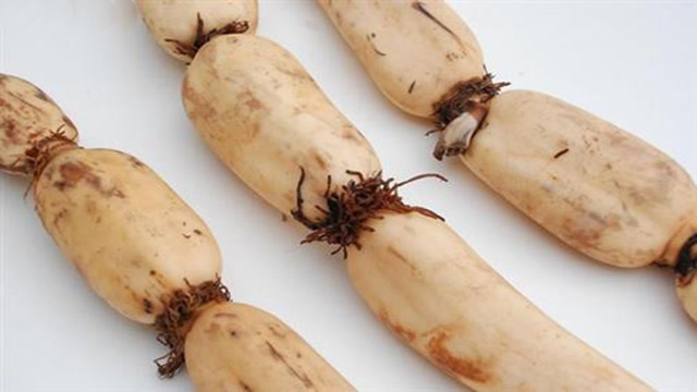 一根莲藕中有多少营养素?4种吃法滋补你的身体