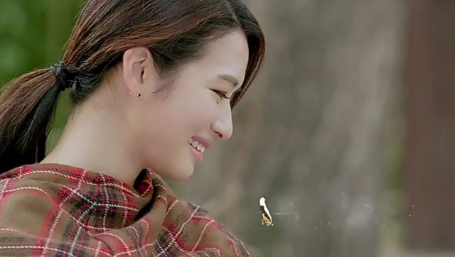 《电视剧:神犬小七》电视剧播放曲(不要忘记我爱你:张碧晨)