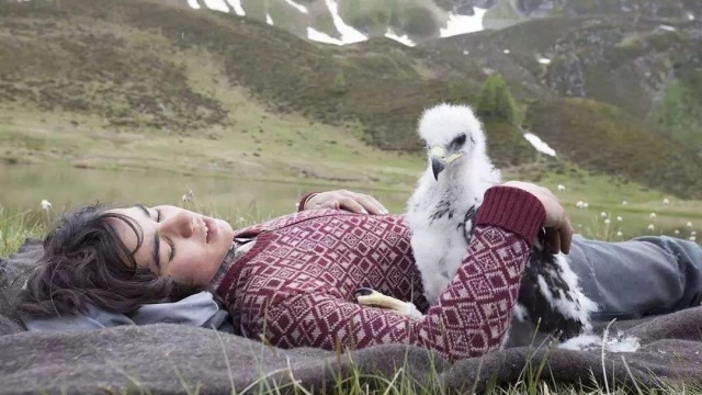 高分治愈电影,少年捡了只被妈妈遗弃的小鹰,精心训练,成为鹰王