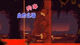 天铭 泰拉瑞亚 1.3手机版 23 我大肉山又回来啦 血肉之墙